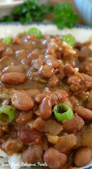 These Crock Pot Spicy Beans and Rice recipe tastes delicious, is healthy, a plant-based recipe loaded with protein. #crockpotrecipes #plantbasedfood #veganrecipes #yummy #greatgrubdelicioustreats Crock Pot Spicy Beans and Rice