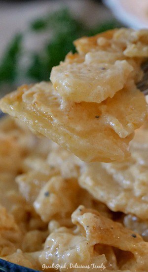 Crock Pot Cheesy Scalloped Potatoes are an easy crock pot potato recipe, cheesy and delicious. #cheesypotatoes #crockpotideas #dinner #homemade #greatgrubdelicioustreats Crock Pot Cheesy Scalloped Potatoes