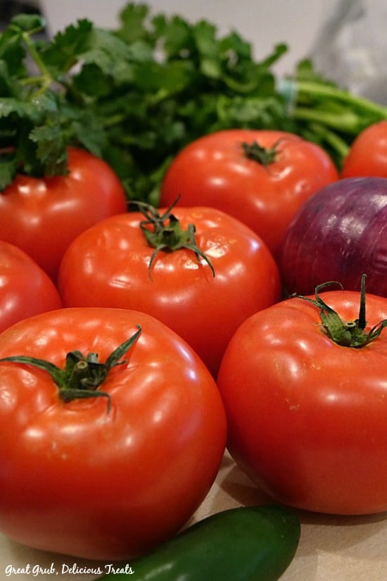 Pico de Gallo is made with fresh ingredients. Pico de Gallo - picture of 7 tomatoes, a red onion, jalapeno pepper and cilantro.
