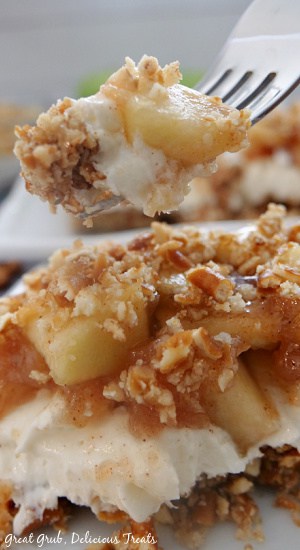 Apple Cinnamon Pretzel Salad is a delicious and easy pretzel salad recipe with a creamy cream cheese filling and an apple cinnamon and pretzel topping. A close up photo of a piece of Apple Cinnamon Pretzel Salad with the title of the recipe on the top of the photo.