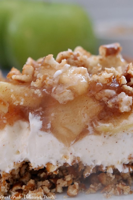 Apple Cinnamon Pretzel Salad is made with a pretzel crust, a cream cheese filling and topped with a apple cinnamon and pretzel topping. A super close up photo of the layers of Apple Cinnamon Pretzel Salad dessert.