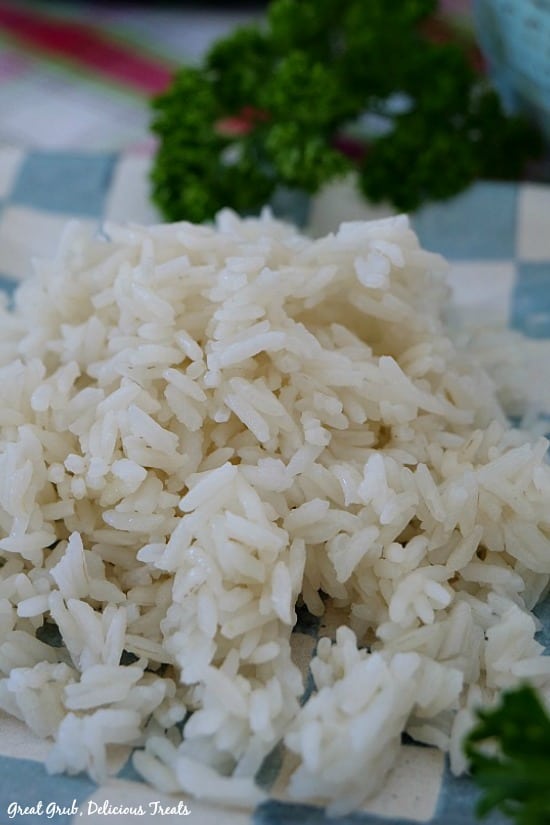 Instant Pot White Rice comes out perfect every time and is a basic white rice instant pot recipe. Instant Pot White Rice - a plate of white rice on a light blue and white checkered plate with parsley in the background.