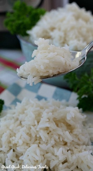 Instant Pot White Rice is a basic white rice recipe made in the instant pot for a super easy instant pot recipe.
