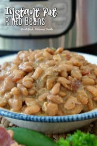 Instant Pot Pinto Beans