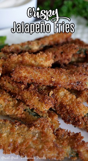 Crispy Jalapeño Fries are super delicious, crunchy, crispy and seasoned perfectly, and make a tasty appetizer recipe. A stack of jalapeno fries on a white plate, with parsley and a white bowl of ranch dressing in the background.