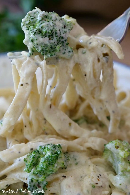 This Chicken Broccoli Fettuccine Alfredo is creamy homemade alfredo sauce with delicious broccoli and seasoned chicken and served over fettuccine pasta. This Chicken Broccoli Fettuccine Alfredo is creamy homemade alfredo sauce with delicious broccoli and seasoned chicken and served over fettuccine pasta.