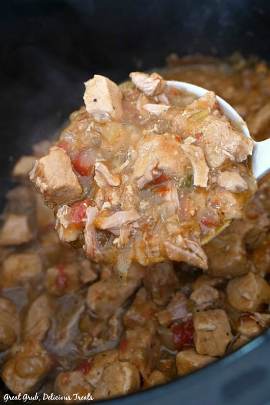 Crock Pot Boneless Pork and Rice is easy to make, tastes delicious and loaded with delicious pork loin.