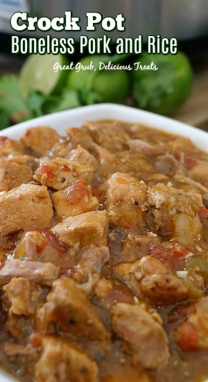 Crock Pot Boneless Pork and Rice is a super delicious crock pot meal, loaded with pork and seasoned perfectly. Crock Pot Boneless Pork and Rice is a super delicious crock pot meal, loaded with pork and seasoned perfectly.