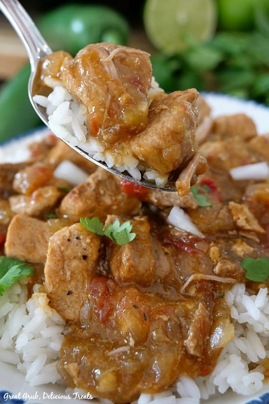 Crock Pot Boneless Pork and Rice is quick, easy and delicious, loaded with cubed and seasoned pork loin.