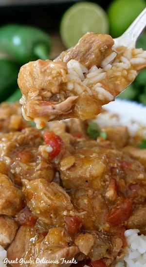 Crock Pot Boneless Pork and Rice is a delicious and easy crock pot meal full of boneless pork loin. Crock Pot Boneless Pork and Rice is a delicious and easy crock pot meal full of boneless pork loin.