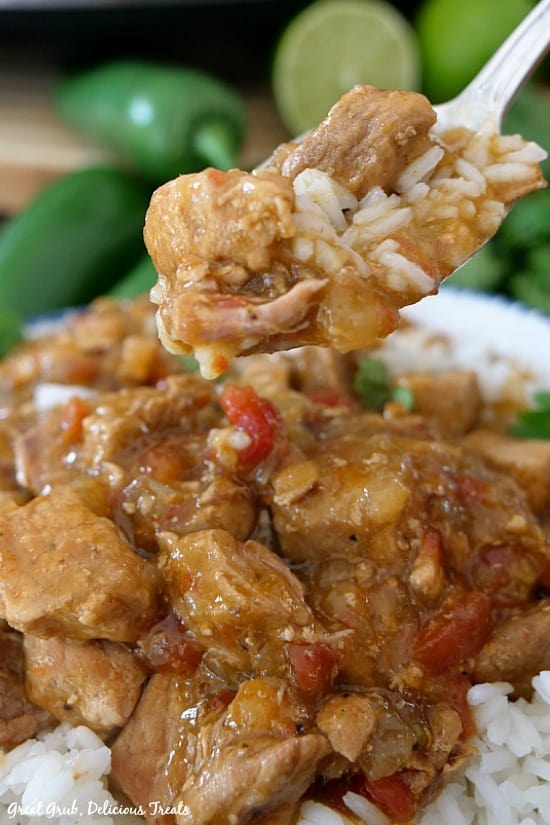 Crock Pot Boneless Pork and Rice is a delicious slow cooker recipe the whole family will love.