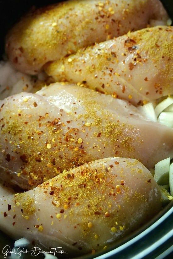 Crock Pot Hatch Salsa Chicken is a tasty and easy crock pot recipe with delicious flavor. Crock Pot Hatch Salsa Chicken