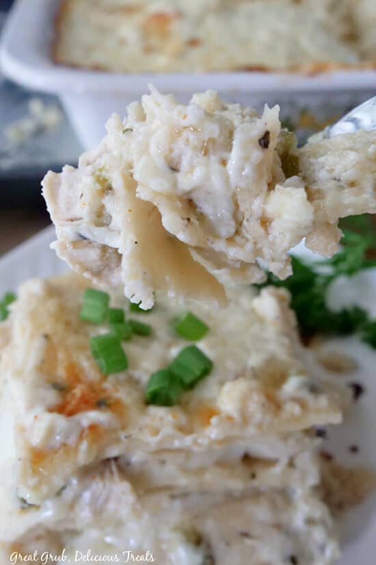 A close up photo of a bite of chicken enchiladas.