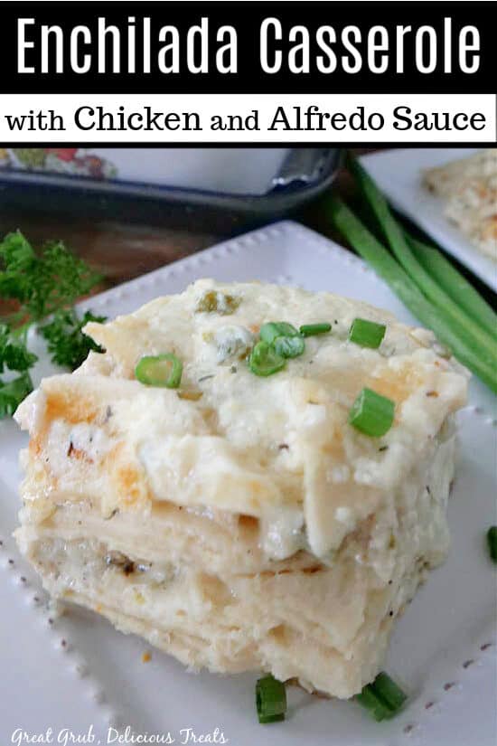 A serving of enchilada casserole with chicken and alfredo sauce on a white plate.