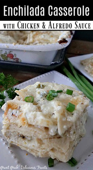 A serving of chicken enchilada casserole on a white plate.