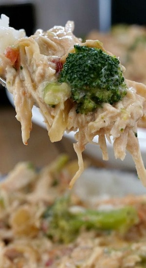 Crock Pot Chicken Broccoli Rice Crock Pot Chicken Broccoli Rice