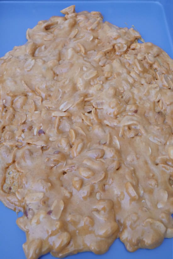 A blue baking sheet with peanut brittle mixture spread on it.
