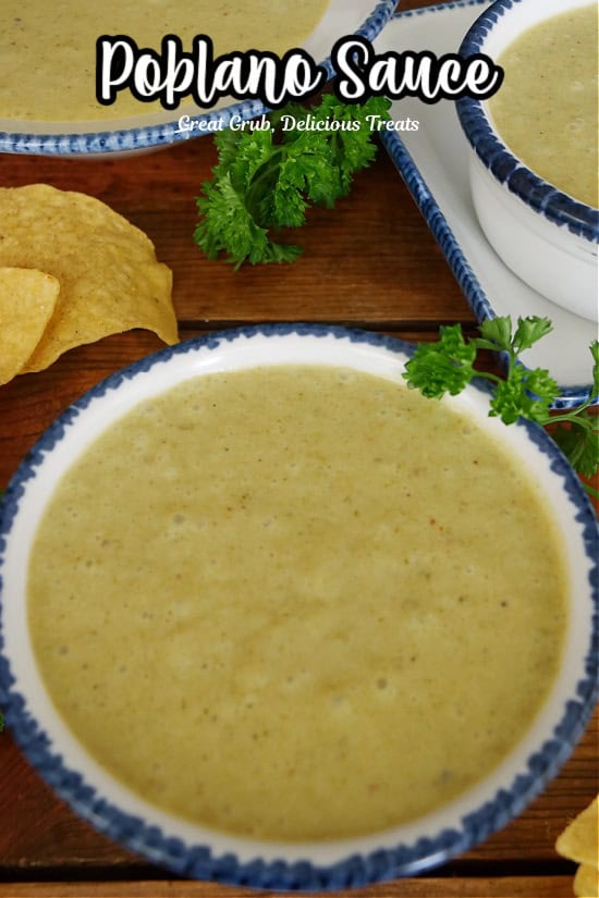 A wood surface with a white bowl with blue trim filled with homemade poblano sauce.