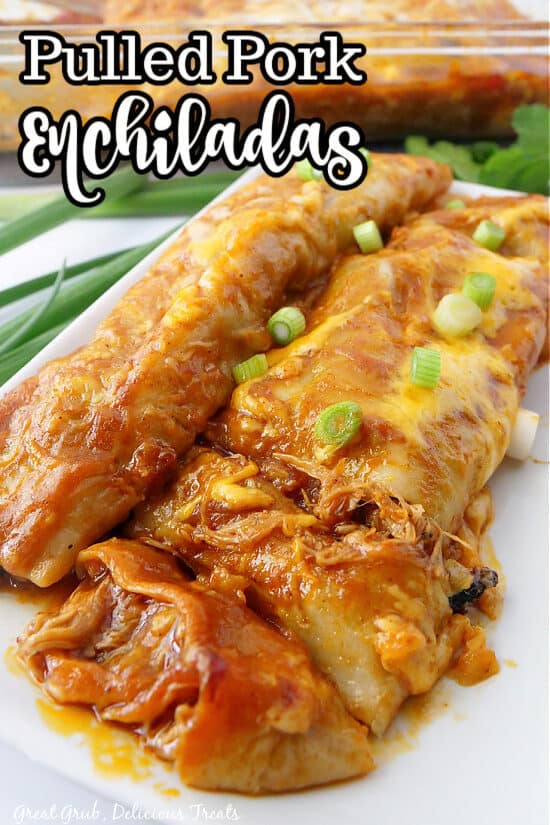 Two enchiladas on a white plate.