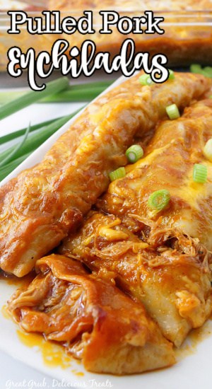 Two enchiladas on a white plate.