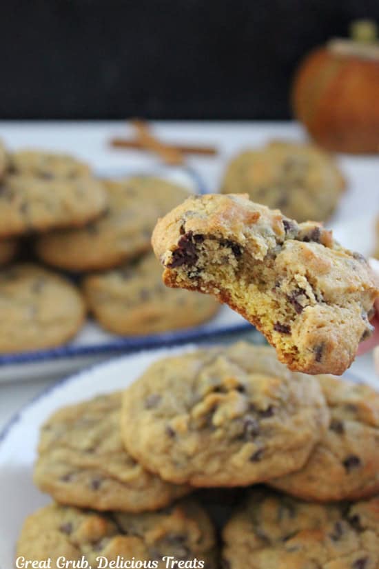 A counter with lots of pumpkin cookies on it with one being held up with a bite taken out of it.