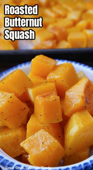 A close up of a white bowl with a serving of roasted butternut squash cubes in it.