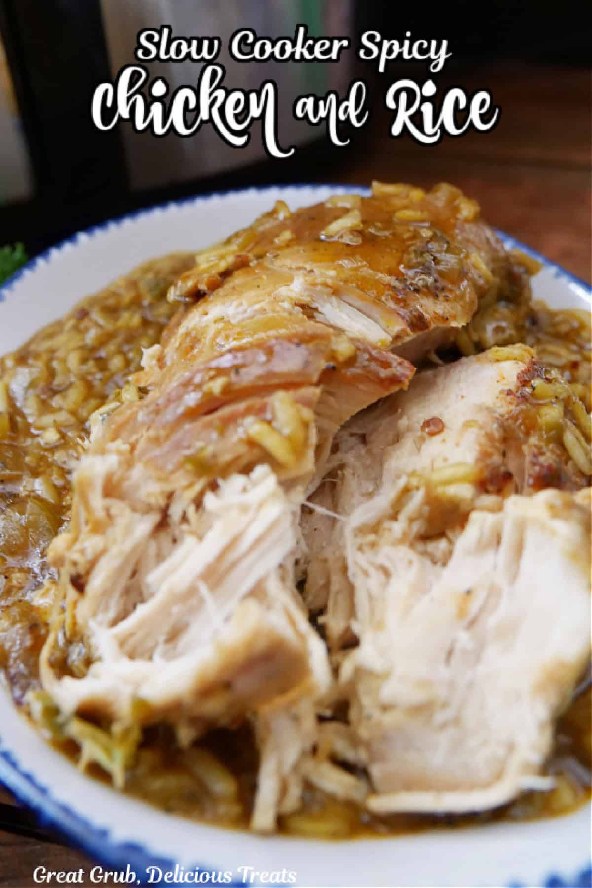 A white plate with blue trim with slow cooked chicken breasts and rice on it.