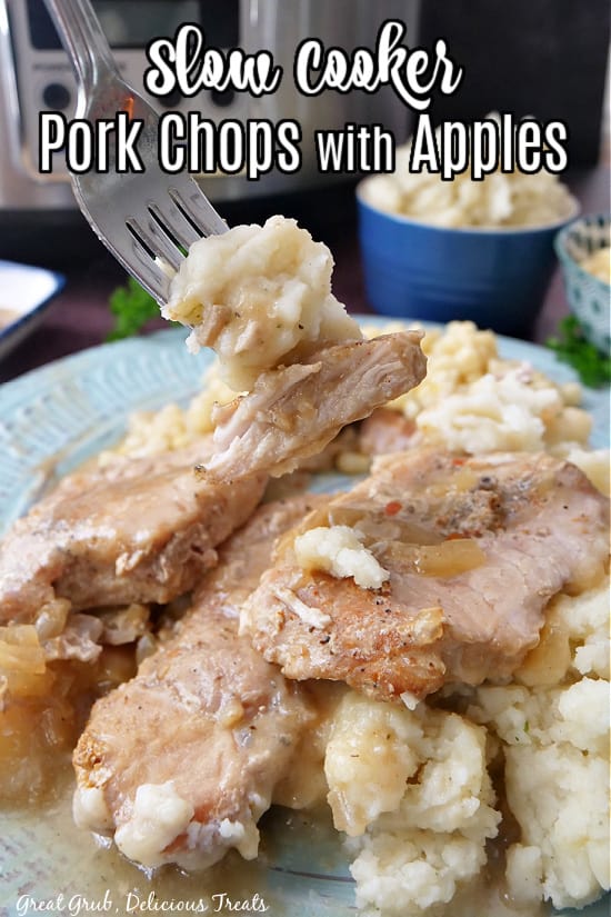 A light blue plate with mashed potatoes and pork chops on top, with a title at the tope of the pic.