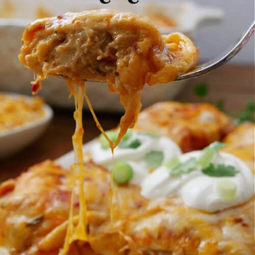 A fork with a bite of chicken enchilada on it held above the plate that has two enchiladas on it.