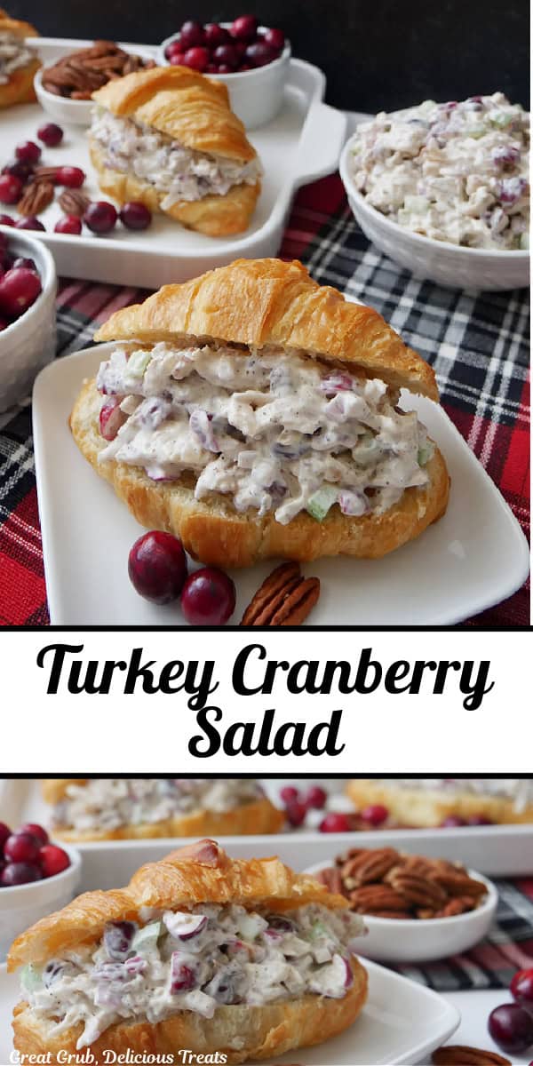 A double collage photo of homemade turkey salad with cranberries and pecans, and the title of the recipe in text in the center of the two photos.