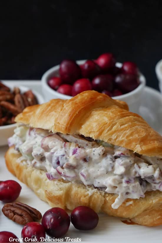 A white plate with a croissant filled with turkey salad with cranberries and pecans.